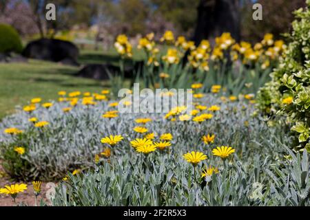 Cowra Japanese Garden, NSW, Australia Foto Stock