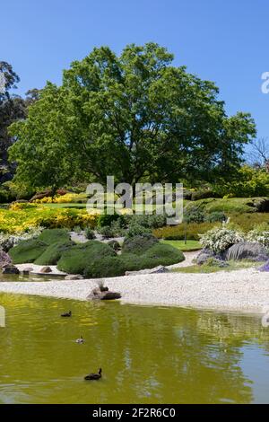 Cowra Japanese Garden, NSW, Australia Foto Stock