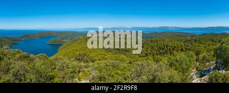 Vista aerea del parco nazionale di Mljet dalla collina di Montokuc, Croazia Foto Stock