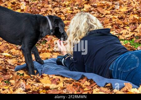Una giovane donna bionda con un cane nero e una macchina fotografica giacente sul suo stomaco sul tappeto denso colorato di foglie d'autunno in un parco. Foto Stock