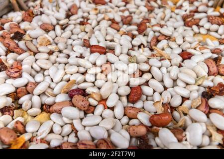 Closeup di diversi tipi di fondo fagioli. Consistenza del fagiolo Foto Stock