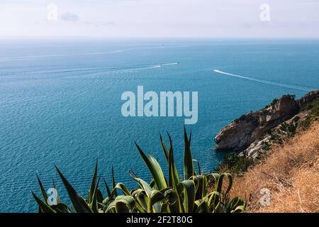 La vista dalla scogliera al mare azzurro calmo dell'Isola d'Elba attraversata da barche ad alta velocità. Toscana, Italia. Foto Stock