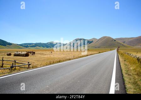 Strada dritta vuota e liscia che attraversa la panoramica Pian Grande a Castelluccio di Norcia, Umbria, Italia. Stagione estiva Foto Stock