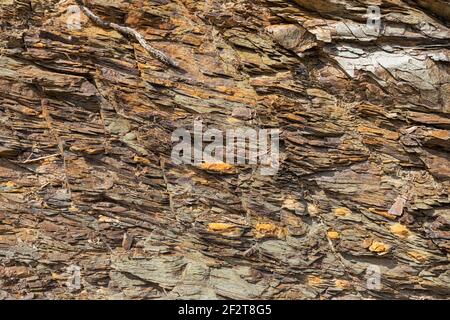 Struttura naturale in pietra vulcanica. Texture rock e sfondo. Foto Stock