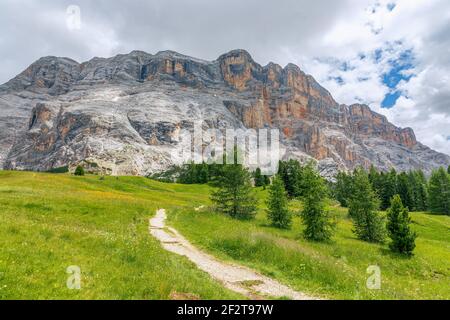 Un sentiero pittoresco attraverso un prato alpino nelle Dolomiti italiane per escursioni a piedi e in bicicletta. Alpi Italiane, Corvara in Badia. Foto Stock