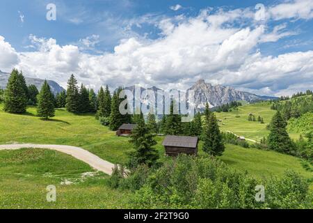 Un sentiero pittoresco attraverso un prato alpino nelle Dolomiti italiane per escursioni a piedi e in bicicletta. Alpi Italiane, Corvara in Badia. Foto Stock