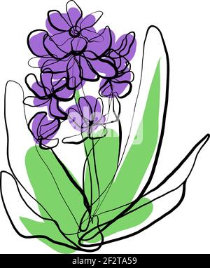 Schizzo vettoriale giacinto. Primi fiori un disegno a linea continua, macchie di colore. Messaggio di saluto singolo. Illustrazione Vettoriale