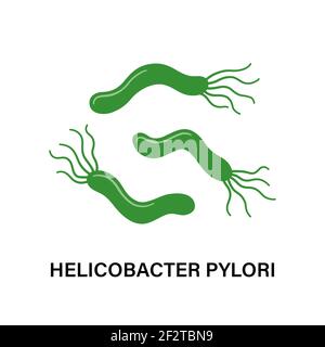 Helicobacter pylori. Malattie dello stomaco. Batterio con flagella che causa gastrite. Illustrazione Vettoriale