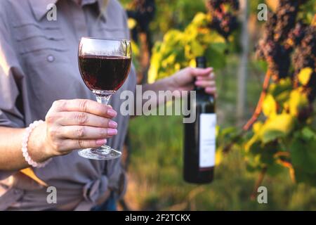 Donna che beve vino rosso in vigna. Femmina contadina che tiene vino e bottiglia e degusta il suo vino fatto in casa Foto Stock