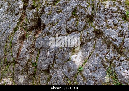 Creste diagonali e fessure profonde attraversano una parete rocciosa grigia erosata con tracce di muschio e licheni, formando una texture di pietra naturale in Italia. Foto Stock