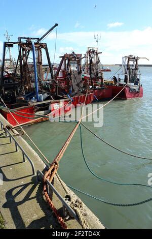 La pesca vanta a Howth a Dublino, Irlanda Foto Stock