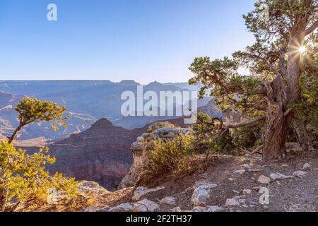 Splendida vista del Grand Canyon alla luce di il sole che sorge Foto Stock