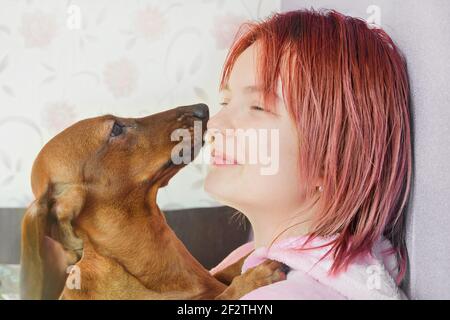 Cane rosso dachshund naso al naso con il suo proprietario. Primo piano verticale. Concetto di amore per gli animali domestici. Foto Stock