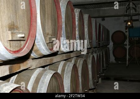 Botti di rovere in cui il vino matura in una cantina Foto Stock