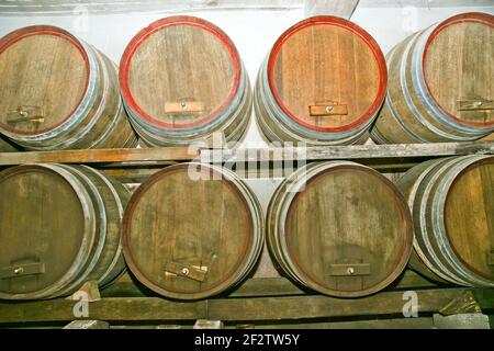 Botti di rovere in cui il vino matura in una cantina Foto Stock