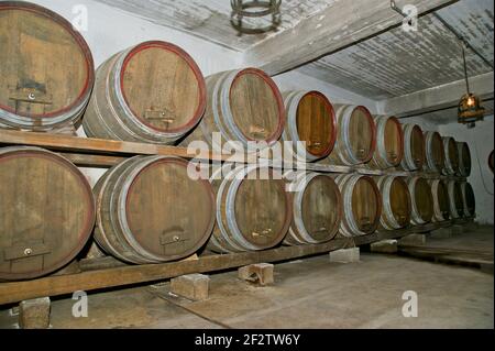 Botti di rovere in cui il vino matura in una cantina Foto Stock