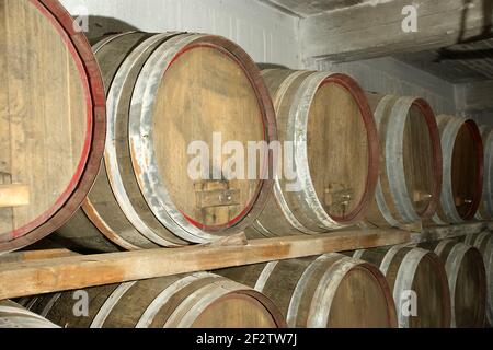 Botti di rovere in cui il vino matura in una cantina Foto Stock
