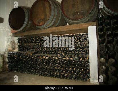 Botti di rovere in cui il vino matura in una cantina Foto Stock