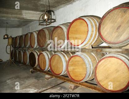 Botti di rovere in cui il vino matura in una cantina Foto Stock