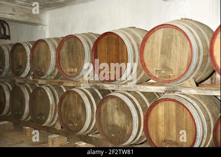 Botti di rovere in cui il vino matura in una cantina Foto Stock