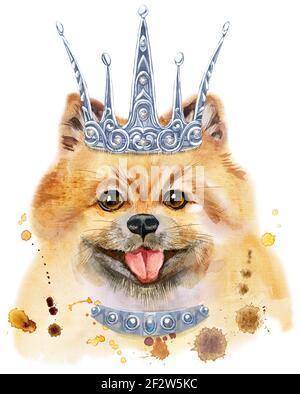 Carino cane con corona d'argento. Grafica dog T-shirt. Watercolor Pomeranian spitz illustrazione Foto Stock