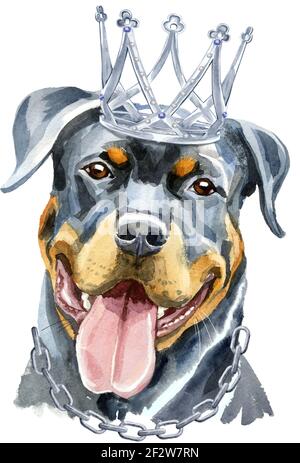 Carino cane con corona. Grafica dog T-shirt. Watercolor rottweiler Foto Stock