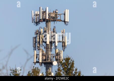 Una stazione ricetrasmittente di base che torreggia sopra gli alberi in un luogo rurale. Queste potenti apparecchiature facilitano la distribuzione dei segnali telefonici e Internet Foto Stock