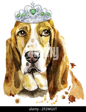 Carino cane. Grafica cane t-shirt. Acquerello basset Hound con corona d'argento Foto Stock