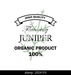 Logo aromatizzante Juniper con elemento disegnato a mano isolato su sfondo bianco. Illustrazione vettoriale in stile vintage Illustrazione Vettoriale