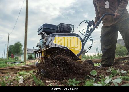 Un uomo aratura intensamente il suo orto da motocoltivatore Foto Stock