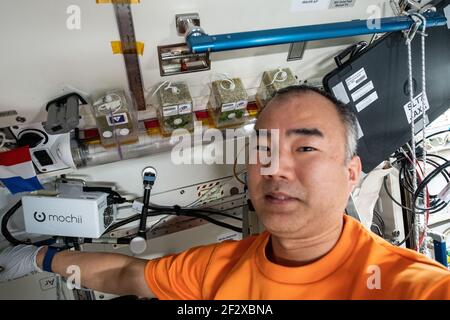 Astronauta e spedizione JAXA 64 l'ingegnere di volo Soichi Noguchi pone con piante che crescono all'interno di contenitori per lo studio delle erbe asiatiche a bordo della Stazione spaziale Internazionale 9 marzo 2021 in orbita terrestre. L'indagine della botanica spaziale sta esplorando i sensi coltivare le piante a rapida crescita usate per la medicina tradizionale e l'aroma di alimento. Foto Stock