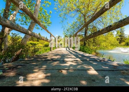 Vista ad angolo basso di una passerella in legno in un parco. Parzialmente ombreggiato da alberi. Alberi e cespugli in lontananza. Foto Stock