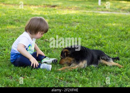 Down sindrome ragazzo giocare con il suo cane di razza mista nel iarda Foto Stock