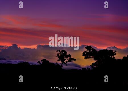 Paesaggio dalle montagne Talamanca in Costa Rica, America Centrale, notte o alba o tramonto vista da Los Quetzales, sagome degli alberi di fronte Foto Stock