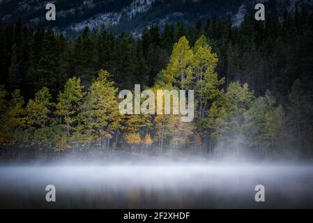 Autunno mattina colori e nebbia a Wedge Pond in Kananaskis Paese di Alberta, Canada. Foto Stock