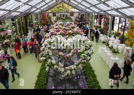 I visitatori si godono la bella mostra a forma di cuore di fiori di orchidee colorate nel padiglione delle mostre nei Giardini Keukenhof, Lisse, Olanda. Foto Stock