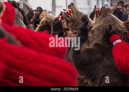 Inverno Cristmas Capodanno tradizioni a Bukowina Romania sopportare la danza di capra per l'inverno alla deriva solstizio Foto Stock