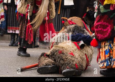 Inverno Cristmas Capodanno tradizioni a Bukowina Romania sopportare la danza di capra per l'inverno alla deriva solstizio Foto Stock