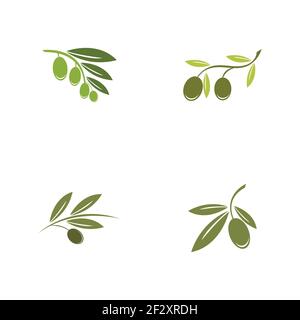 Set di modelli di logo Olive disegno di icone vettoriali Illustrazione Vettoriale