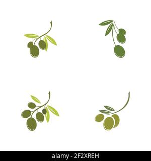 Set di modelli di logo Olive disegno di icone vettoriali Illustrazione Vettoriale