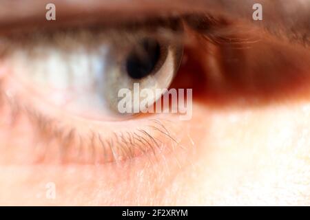 Macro primo piano di un occhio umano Foto Stock