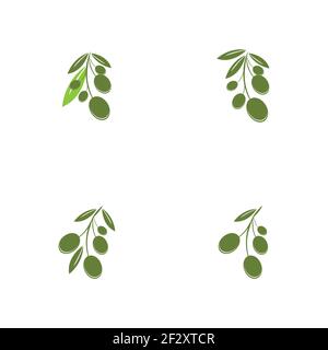 Set di modelli di logo Olive disegno di icone vettoriali Illustrazione Vettoriale