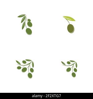 Set di modelli di logo Olive disegno di icone vettoriali Illustrazione Vettoriale