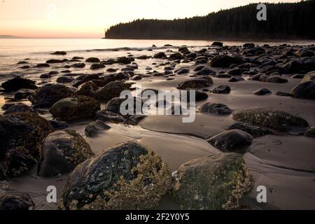 Tramonto a China Beach, Juan de Fuca Provincial Park, Vancouver Island, British Columbia Foto Stock