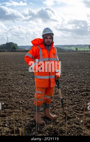 Aylesbury vale, Buckinghamshire, Regno Unito. 12 marzo 2021. Parte della mitigazione di HS2 per la loro distruzione sta piantando alcuni bastoni di agrifoglio. HS2 stanno ottenendo pronto per distruggere una grande parte di Jones Hill Wood per la costruzione di un viadotto come parte del controverso collegamento ferroviario ad alta velocità da Londra a Birmingham. Una squadra di attivisti anti HS2 vive in parte dei boschi per cercare di fermare l'HS2 e la loro distruzione di habitat naturali. Credito: Maureen McLean/Alamy Foto Stock