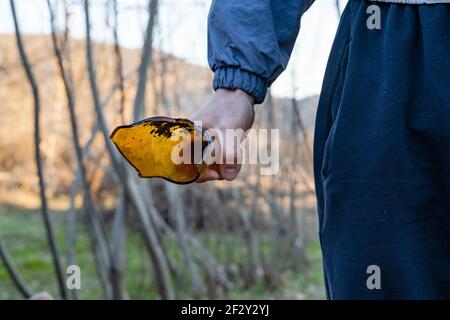 Primo piano sulla mano di un uomo caucasico sconosciuto che tiene rotto bottiglia per attaccare - hooliganism e concetto di violenza Foto Stock