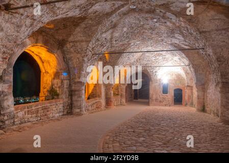 Corridoio a volta che conduce al palazzo Heidelberg in Germania Foto Stock