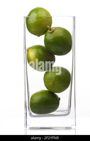 Lime chiave, lime (Citrus x aurantiifolia) Foto Stock