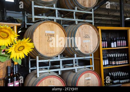 Regione vinicola di Mudgee, Lowe porta cantina di vini della famiglia con botti di legno e bottiglie di rosso, NSW, Australia Foto Stock