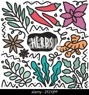 doodle varie erbe raccolta disegni a mano Illustrazione Vettoriale